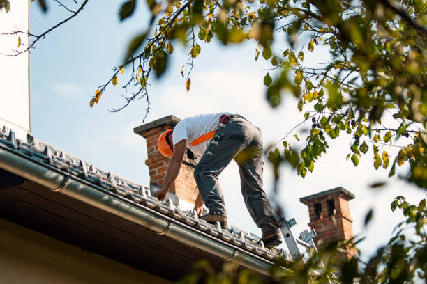 Best Roof Gutter Cleaning  in Saratoga Springs, UT